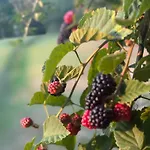 Cascina Burroni * Lerma