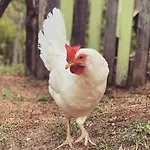 Casa vacanze Cascina Burroni Lerma