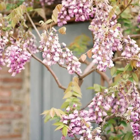 Cascina Burroni * Lerma