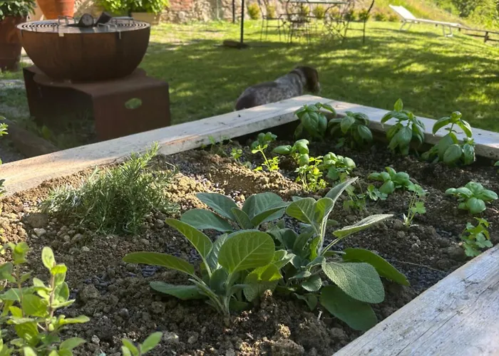 Holiday home Cascina Burroni *