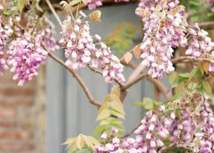 Cascina Burroni * Lerma