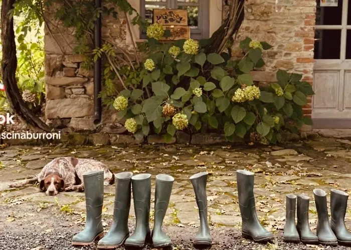 Cascina Burroni Casa vacanze Lerma