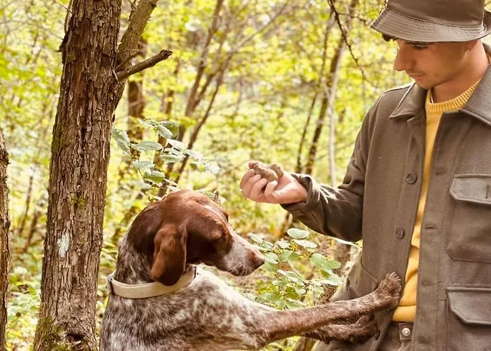 Holiday home Cascina Burroni Lerma
