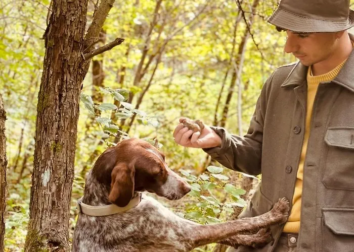 Cascina Burroni Holiday home Lerma