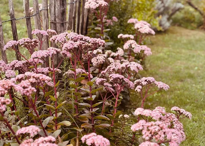 Cascina Burroni Casa vacanze