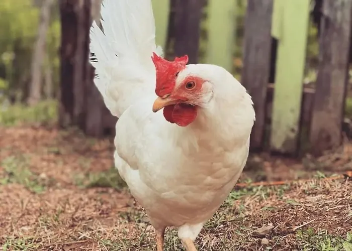 Casa vacanze Cascina Burroni Lerma