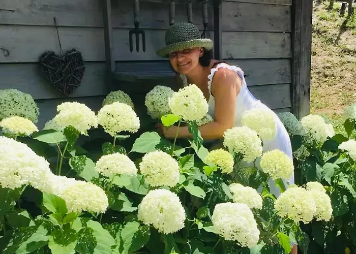 Holiday home Cascina Burroni Lerma